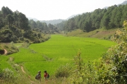 Birmanie - J15 - 17 - Trek Kalaw-Inle - 071
