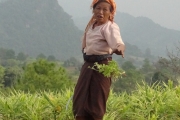 Birmanie - J15 - 17 - Trek Kalaw-Inle - 082