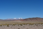 Bolivie - Sud Lipez - 012