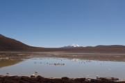 Bolivie - Sud Lipez - 027