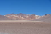Bolivie - Sud Lipez - 032