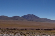 Bolivie - Sud Lipez - 042