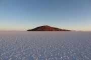 Isla del Pescado - Salar de Uyuni - Bolivie
