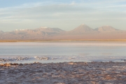 Chili - Atacama - 041