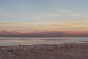 Chili - Atacama - 043