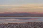 Chili - Atacama - 044