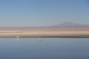 Chili - Atacama - 066