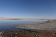 Chili - Atacama - 069