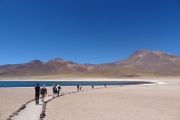 Chili - Atacama - 080