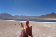 Chili - Laguna Atacama