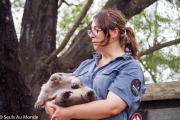 La garde animaux avec un bébé wombat de 10 mois dans les bras - Elle sera aussi relâchée dans la nature vers ses 2 ans.