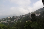 Inde - J09 - Darjeeling J3 - 058