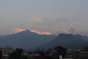 Népal - J14 - Pokhara - 081