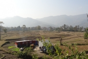 Népal - J14 - Pokhara - 084