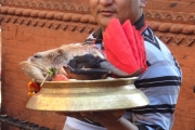 Népal - J5 - Bhaktapur 1 - 032