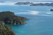 Nouvelle Zélande - Ile du nord - Jour 3 - Bay of Islands - 026