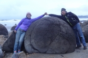 Nouvelle Zélande - Ile du sud - Jour 35 - Oamaru, Moeraki boulders & manchots - 067