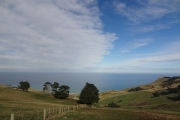 Nouvelle Zélande - Ile du sud - Otago Peninsula - 069