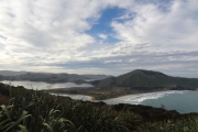 Nouvelle Zélande - Ile du sud - Otago Peninsula - 071