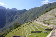 Pérou - Machu Picchu - 028