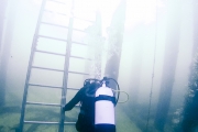 Comment remonter l'échelle avec ses palmes :)
Plongée sous la jetée de Busselton