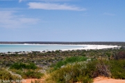 La vue sur "Hamelin Pool", la baie des stromatolithes
