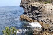 Pengouins Rocks à Remarkable cave