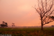 Coucher de soleil enfumé ! Les feux de forêts enfument tout l'ouest de la Tasmanie